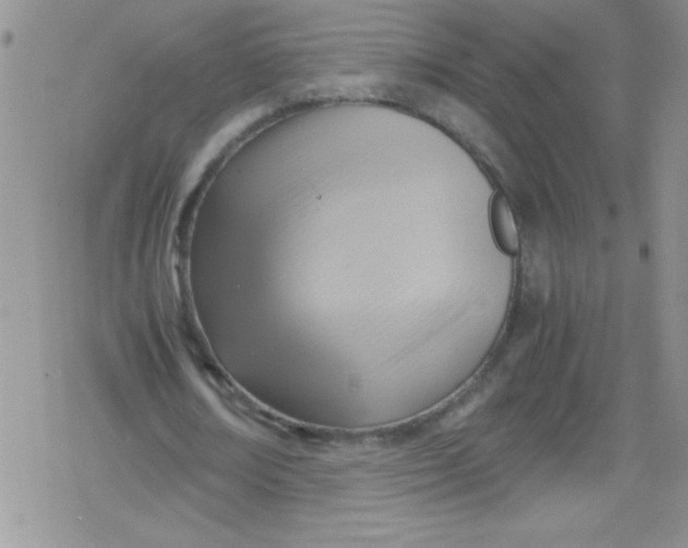 X0000079340674200612082025