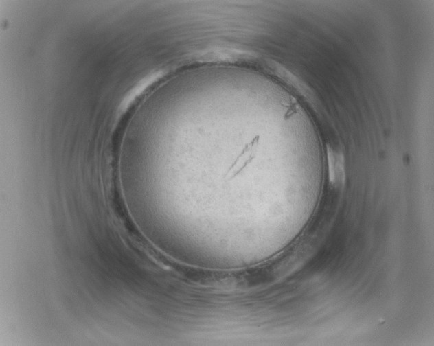 X0000079340675200612082025