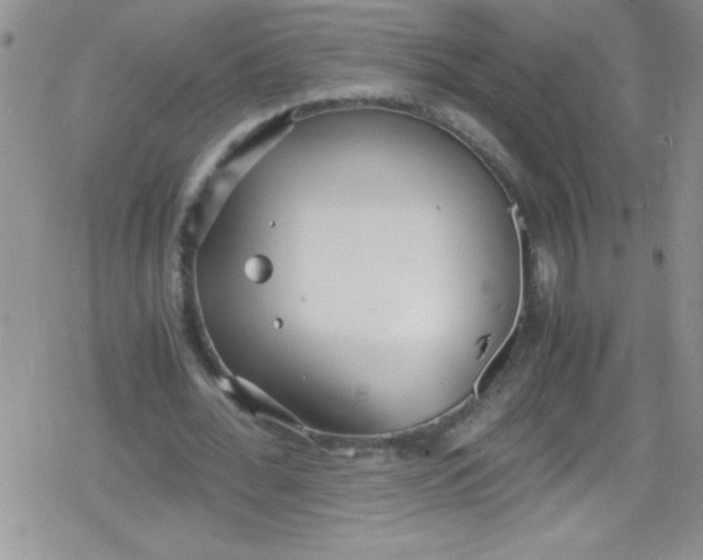 X0000079340676200612082025