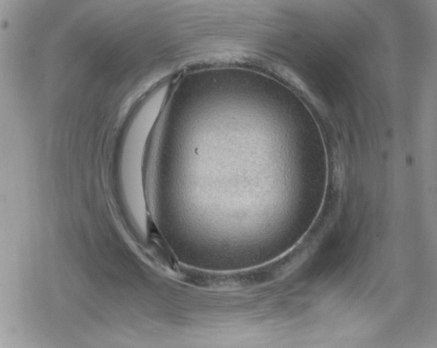 X0000079340677200612082025