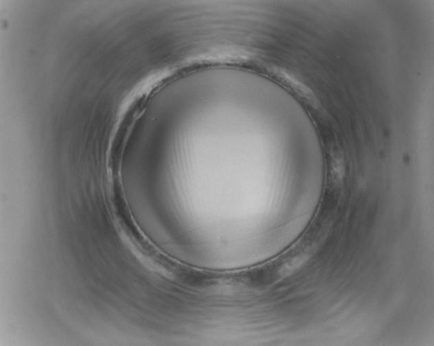 X0000079340678200612082025