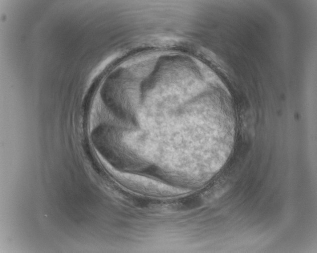 X0000079340679200612082025