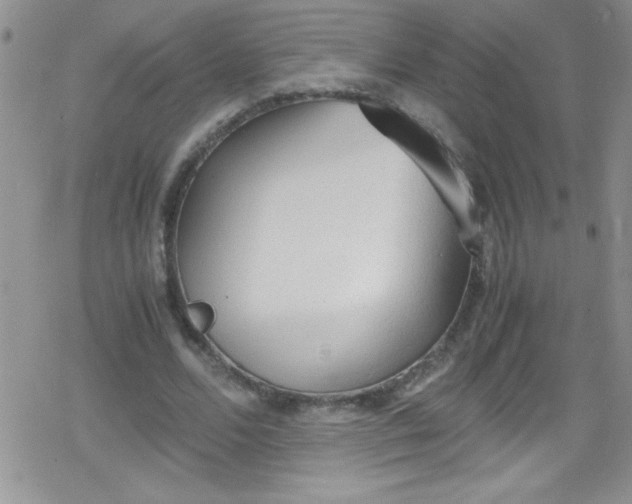 X0000079340680200612082025