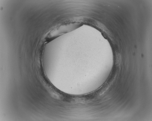 X0000079340681200612082025