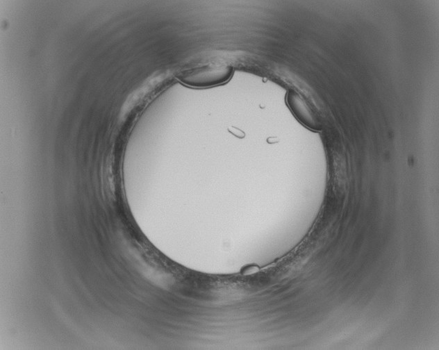 X0000079340682200612082025