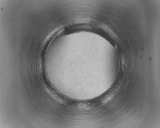 X0000079340684200612082025