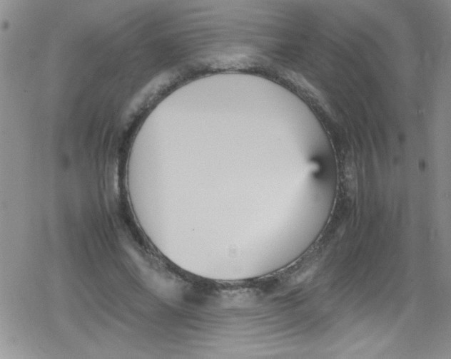 X0000079340686200612082025