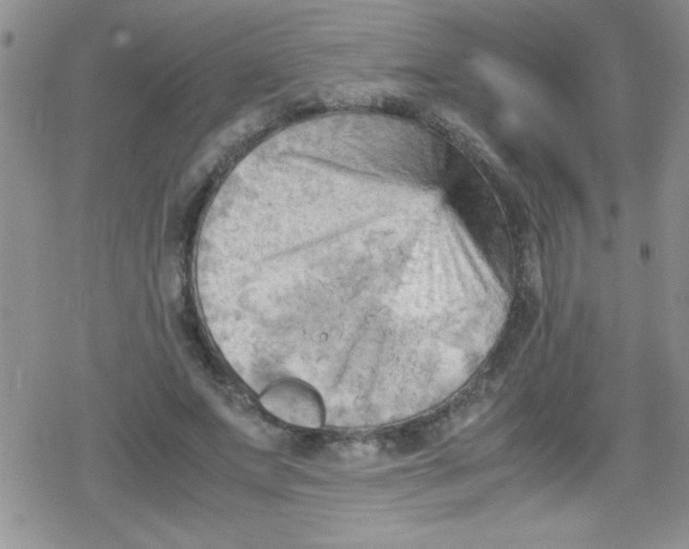 X0000079340687200612082025