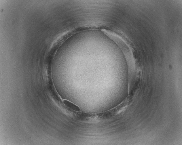 X0000079340688200612082025