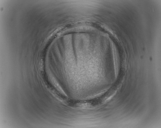 X0000079340689200612082025