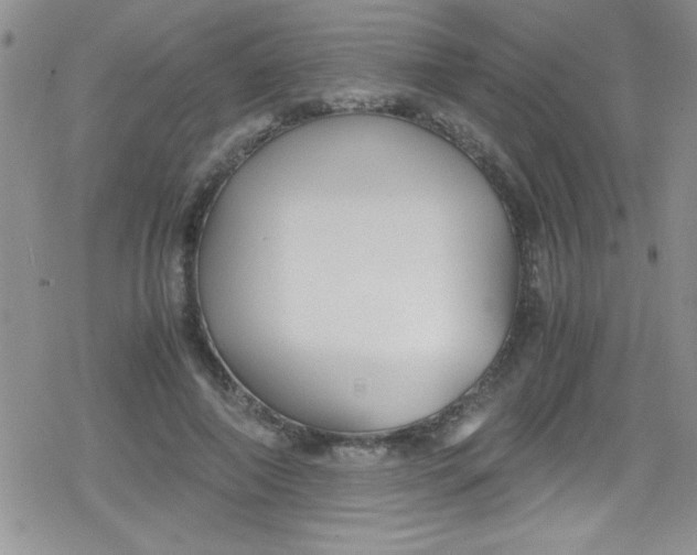 X0000079340690200612082025