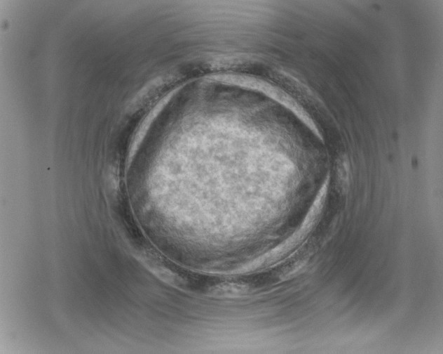 X0000079340691200612082025