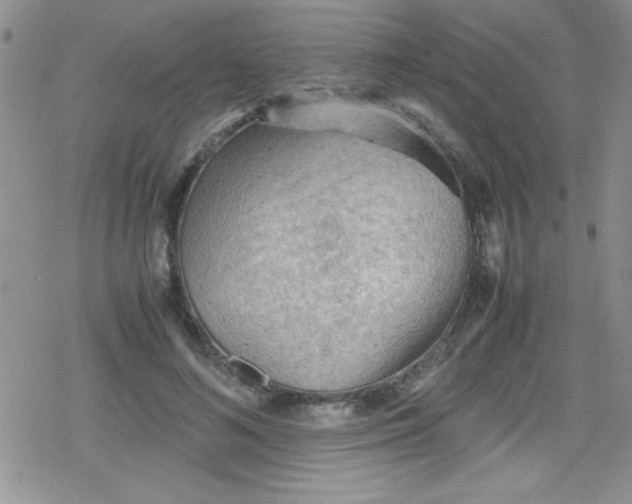 X0000079340692200612082025