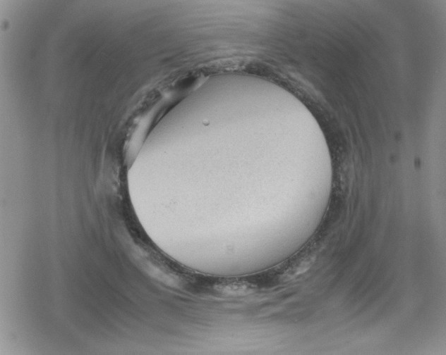 X0000079340693200612082025