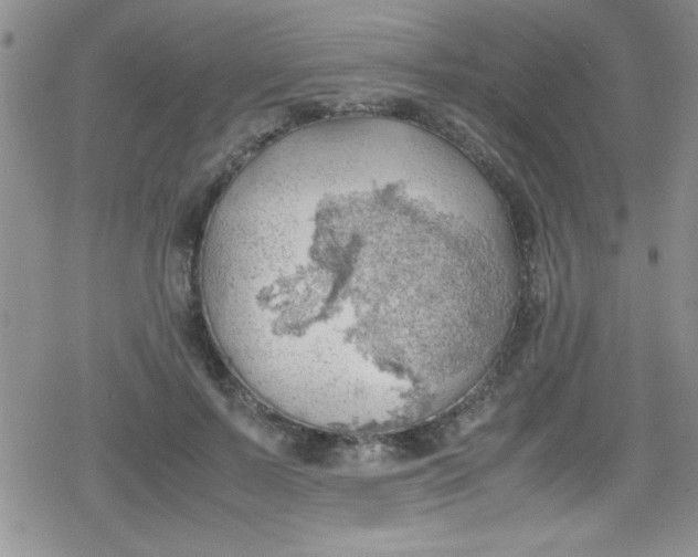 X0000079340695200612082025