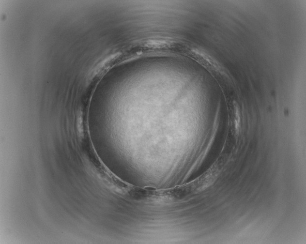 X0000079340696200612082024