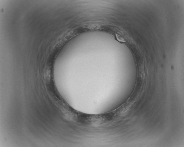 X0000079340697200612082024