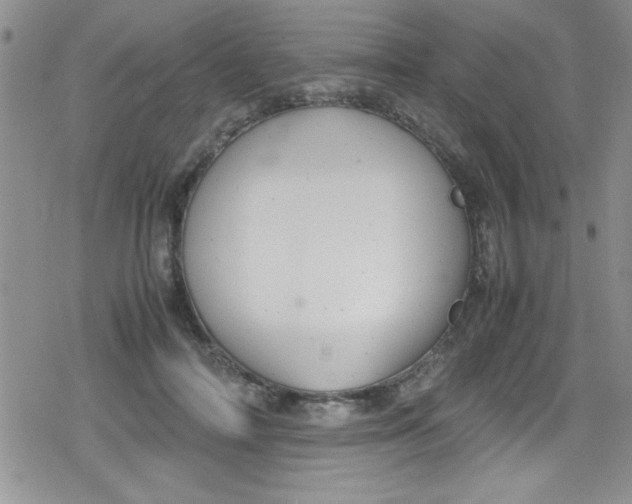 X0000079340698200612082024