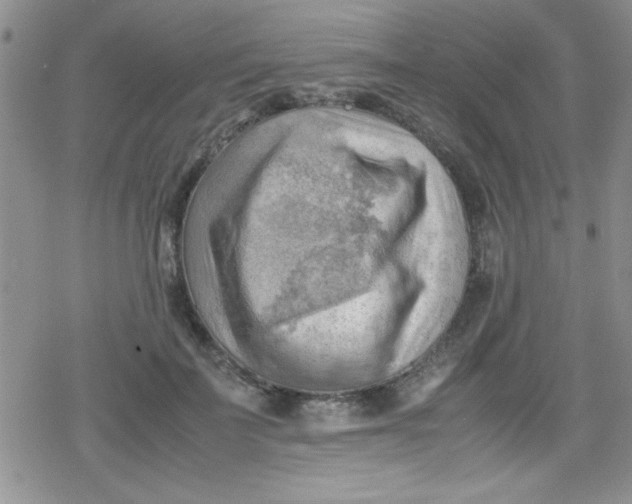 X0000079340699200612082024