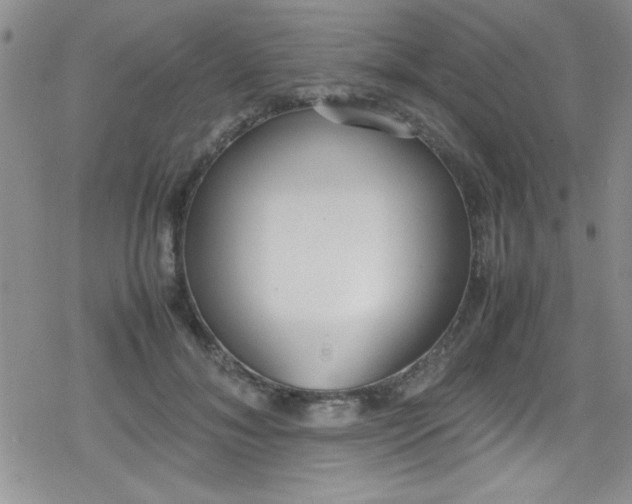 X0000079340700200612082024