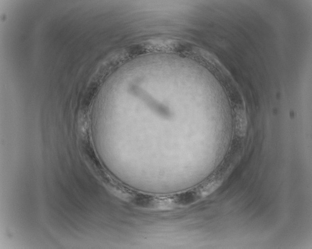 X0000079340701200612082024