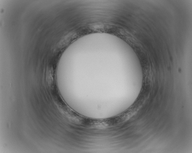 X0000079340702200612082024