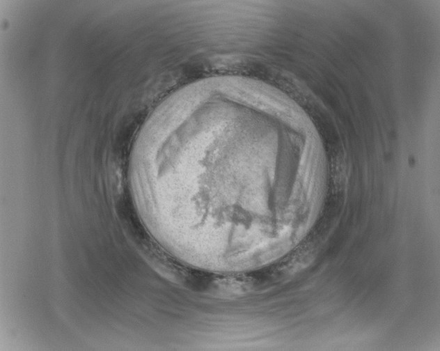 X0000079340703200612082024