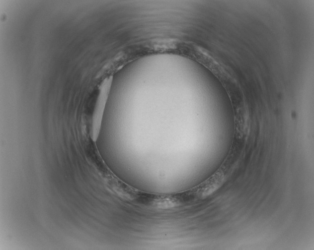 X0000079340704200612082024