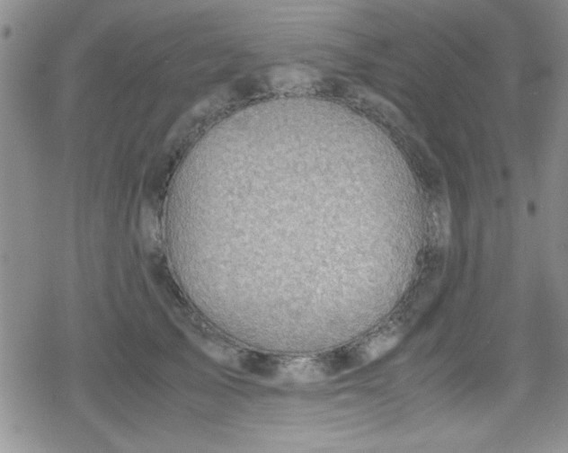 X0000079340705200612082024