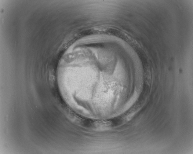 X0000079340707200612082024