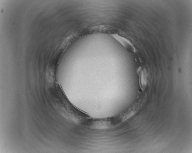 X0000079340708200612082024