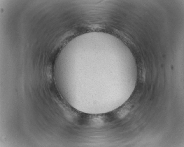 X0000079340710200612082024