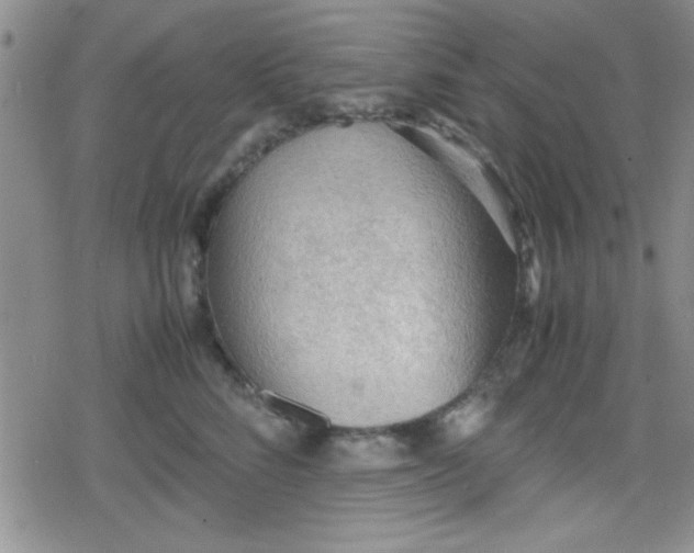 X0000079340712200612082024