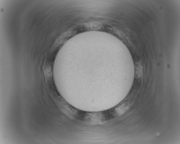 X0000079340713200612082024