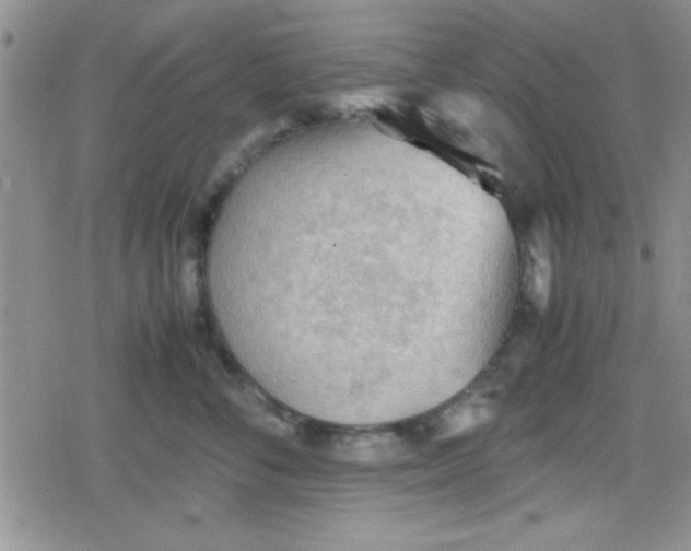 X0000079340716200612082024