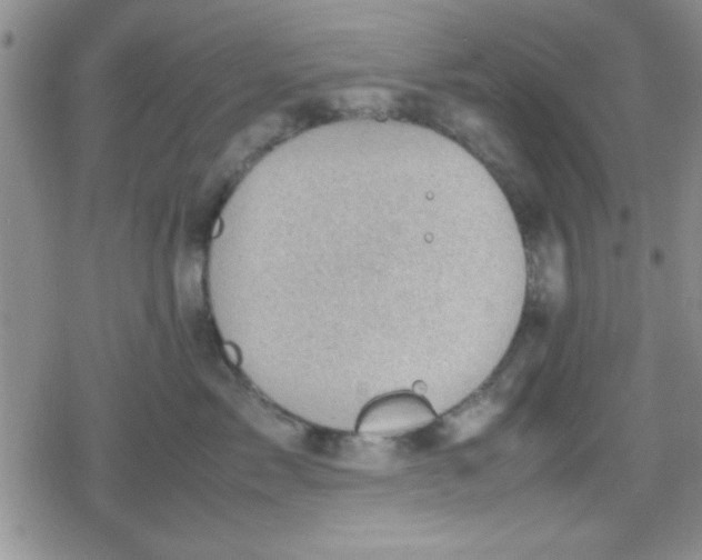 X0000079340717200612082024