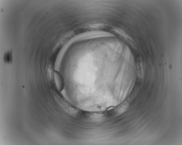 X0000079340718200612082024