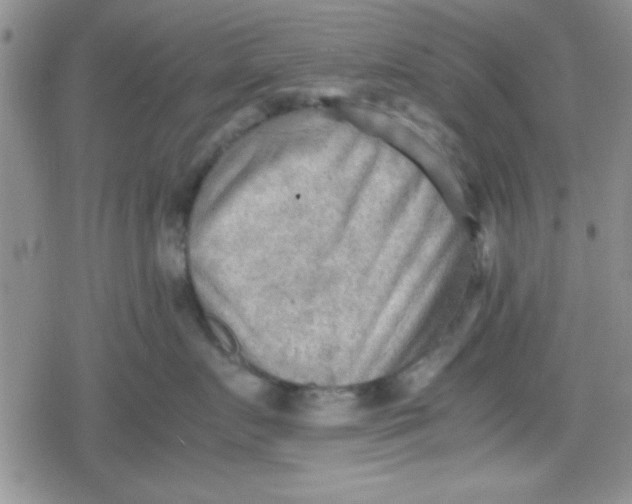 X0000079340719200612082024