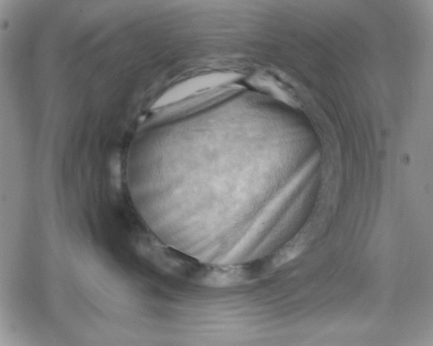 X0000079340720200612082024