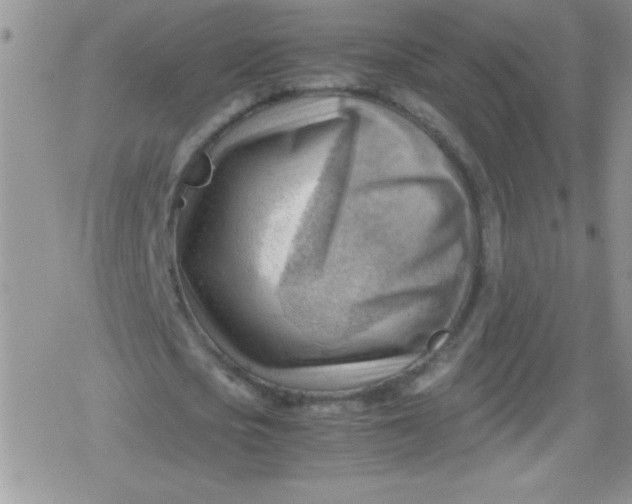 X0000079340721200612082023