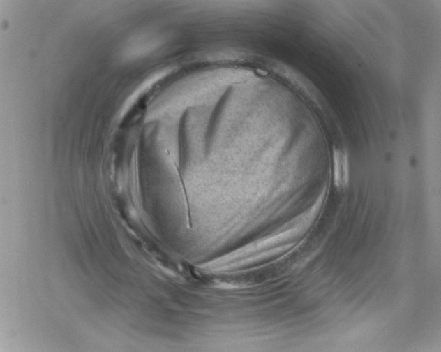 X0000079340723200612082023