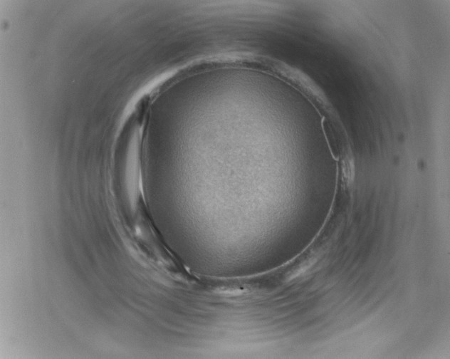 X0000079340724200612082023