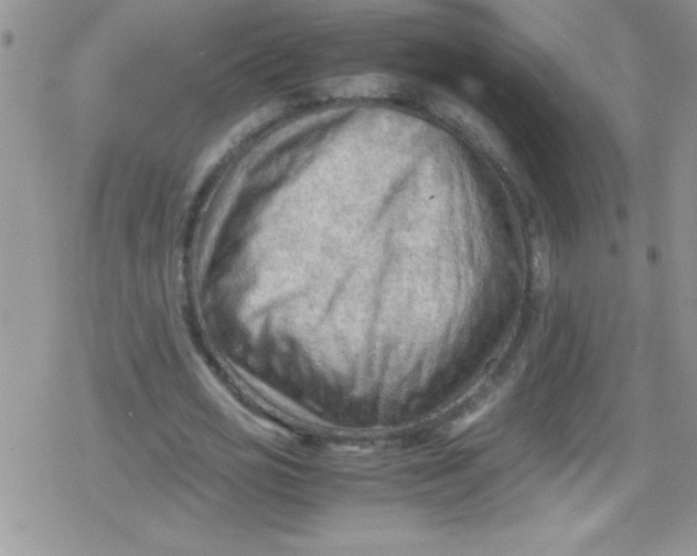 X0000079340725200612082023