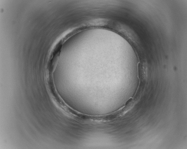 X0000079340726200612082023