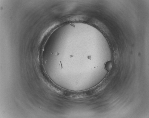 X0000079340727200612082023