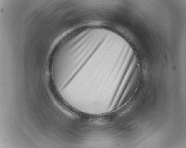 X0000079340728200612082023