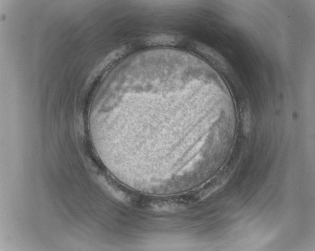 X0000079340729200612082023