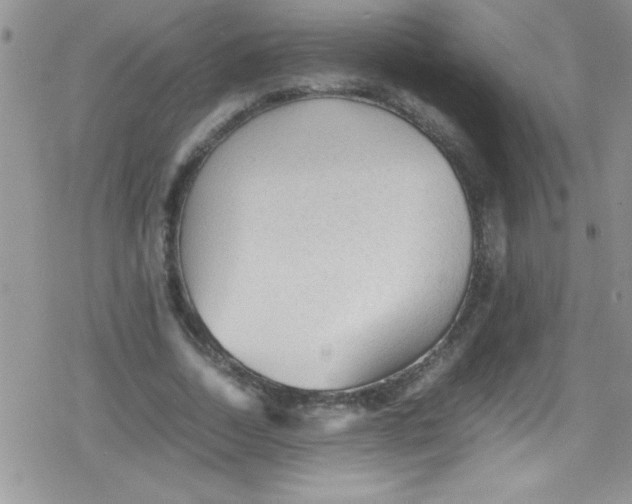 X0000079340730200612082023