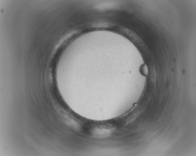 X0000079340731200612082023