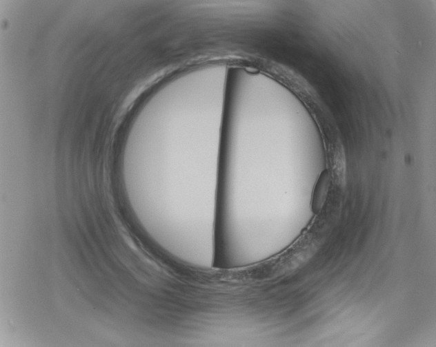 X0000079340732200612082024